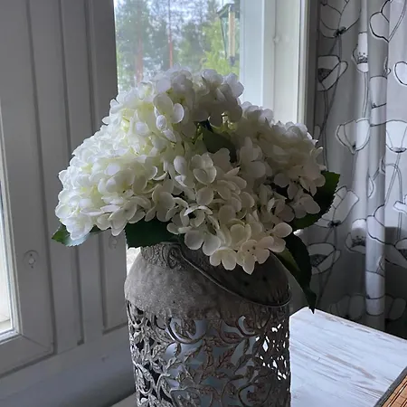 Ullavan Pieni Helmi Apartmán